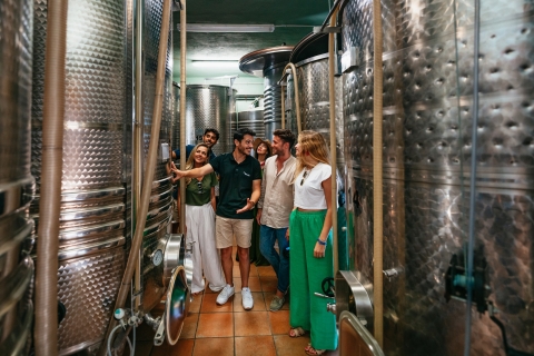 Barcelona: zeilcruise en wijngaardbezoek met proeverij