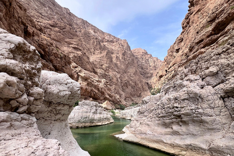 Wadi Tiwi & Wadi Shab: Full-Day Guided Adventure Wadi Tiwi & Wadi Shab: Full-Day Guided Adventure