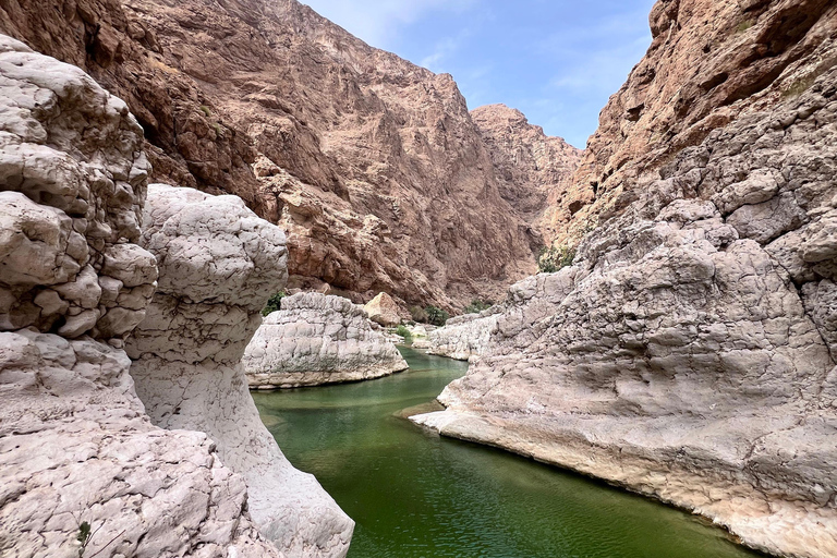 Wadi Tiwi & Wadi Shab: Full-Day Guided Adventure Wadi Tiwi & Wadi Shab: Full-Day Guided Adventure