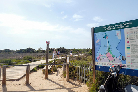 Ibiza: Formentera Tour with Meals Water Activity & Free Time
