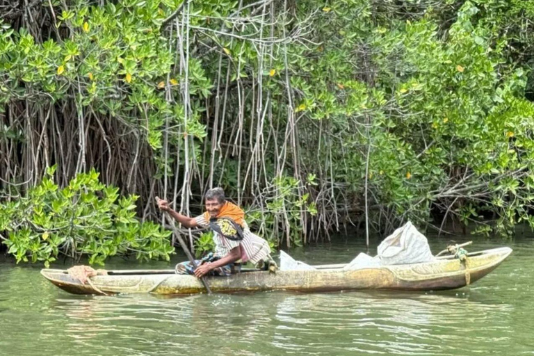 All-Inclusive Galle Dutch Fort, Koggala Lake & Kayak Tour From Tangalle: Galle Dutch Fort, Koggala Lake & Kayak