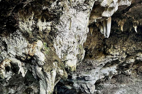 Punta Cana: All Inclusive Santo Domingo Full-Day City Tour