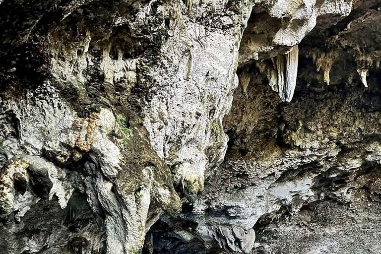 Punta Cana: All Inclusive Santo Domingo Full-Day City Tour