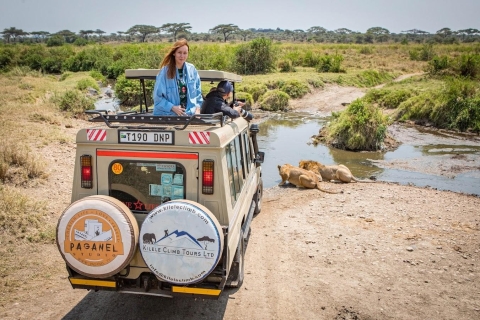 Tanzania: Safari de 5 días- Tarangire| Serengeti| Ngorongoro