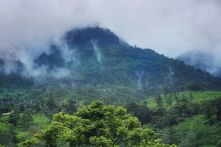康提：兰博达瀑布和普纳瀑布，以及安布鲁瓦瓦天空塔日落康提：兰博达瀑布和普纳瀑布，以及安布卢瓦瓦天空塔日落之旅