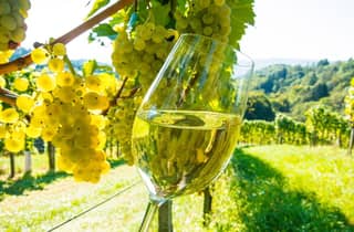 Ab Nizza: Tour nach Antibes, Saint-Paul-de-Vence und Weinprobe