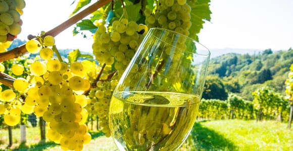From Nice: Antibes, St-Paul-de-Vence, & Wine Tasting Tour