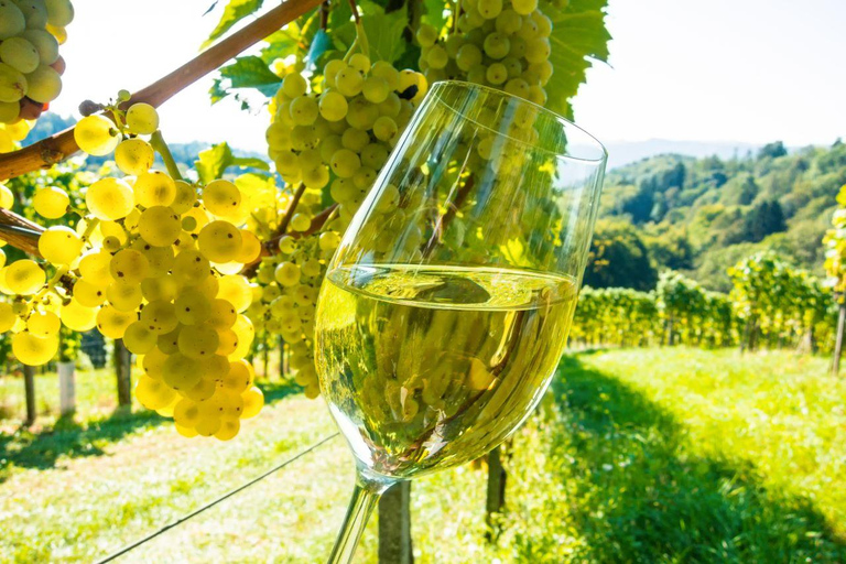 From Nice: Antibes, St-Paul-de-Vence, & Wine Tasting Tour From Nice: Antibes, St-Paul-de-Vence, & Wine Tasting Tour