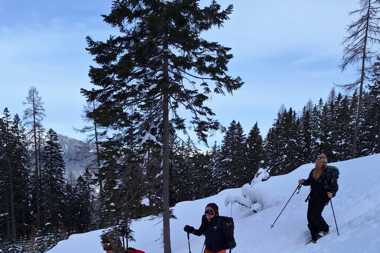 Ehrwald : Randonnée en raquettes à Zugspitze avec vue sur les montagnes
