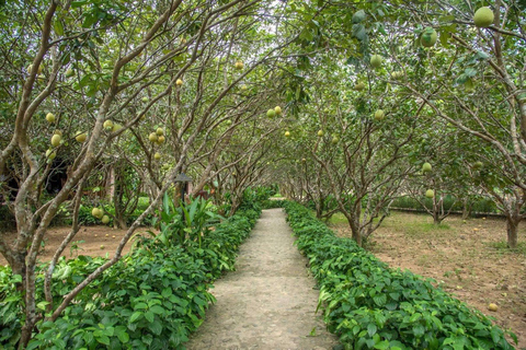 Hue: miasto cesarskie, lekcje gotowania, wycieczka do lagunyHue: Miasto Cesarskie, Kurs Gotowania, Wycieczka do Laguny