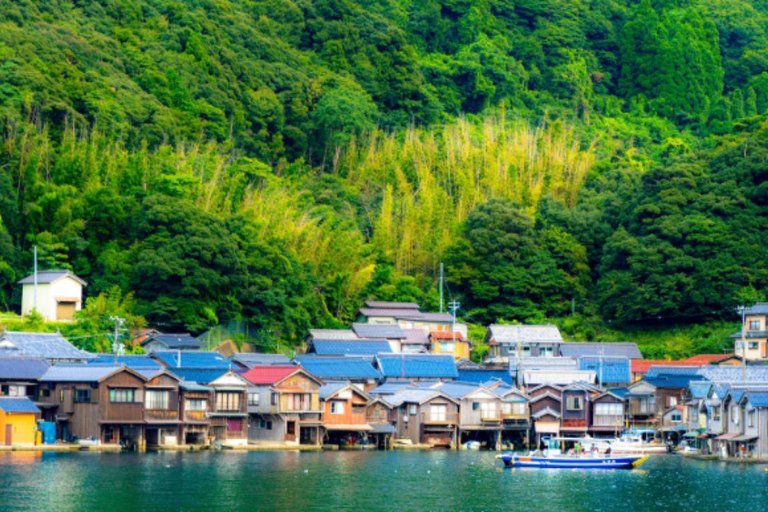 From Kyoto/Osaka: Amanohashidate & Ine Funaya Day Tour