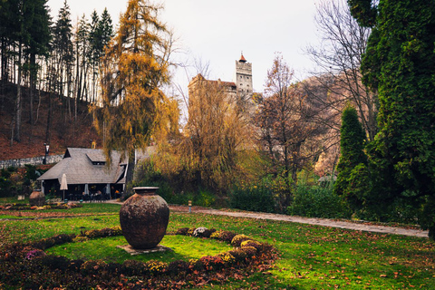 Depuis Bucarest : Visite du château de Dracula et du sanctuaire des ours