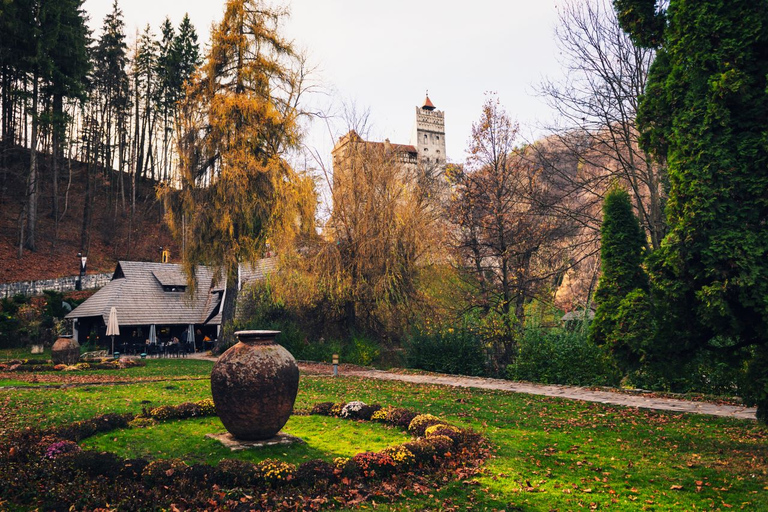 Legends&amp;Wildlife väntar: Draculas slott och björnreservatFrån Bukarest: Dagstur till Draculas slott och björnreservatet