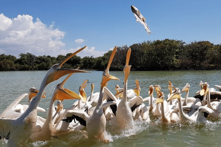 Addis Ababa: 8-Day Bahirdar, Gondar, Lalibela & Abune Yemata