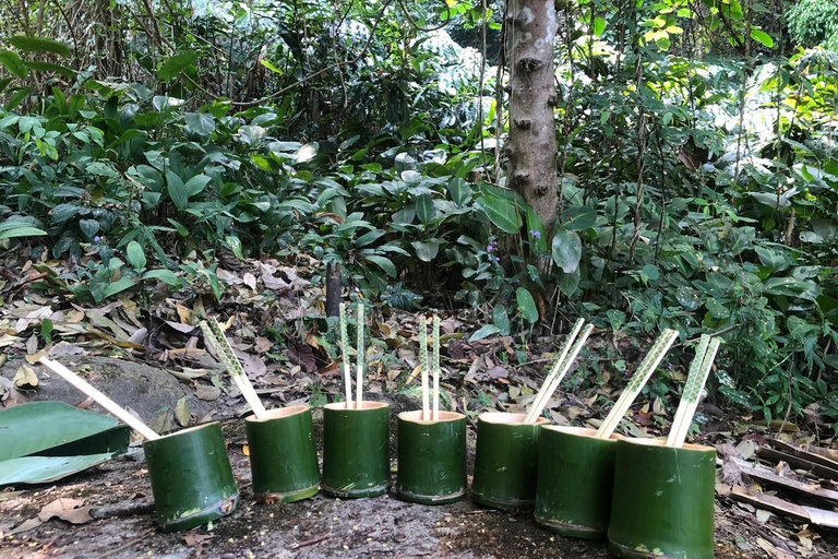 Chiang Rai: Trekking, Bamboo Cooking, and Hot Springs Tour