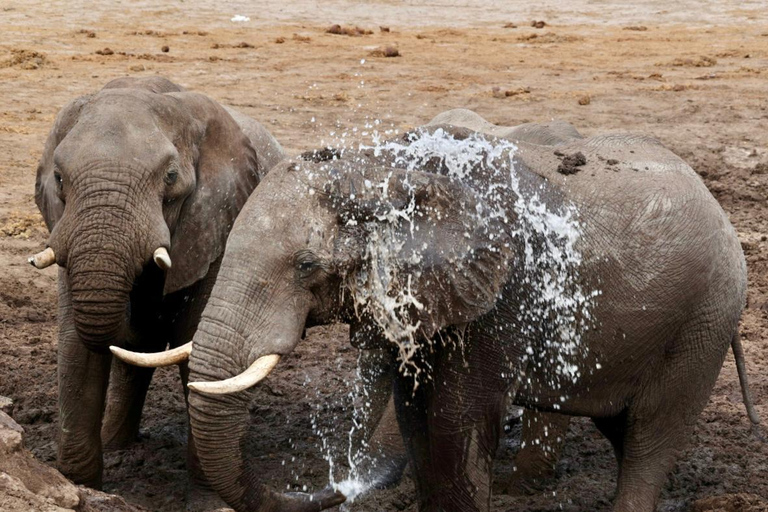 Victoria Falls: Guided Safari in Your Own 4x4 Vehicle