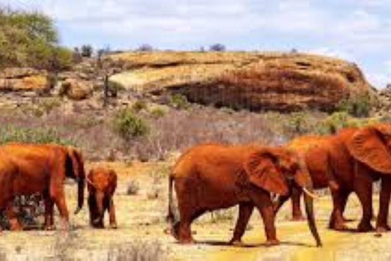 Day Tour to Tsavo East National Park