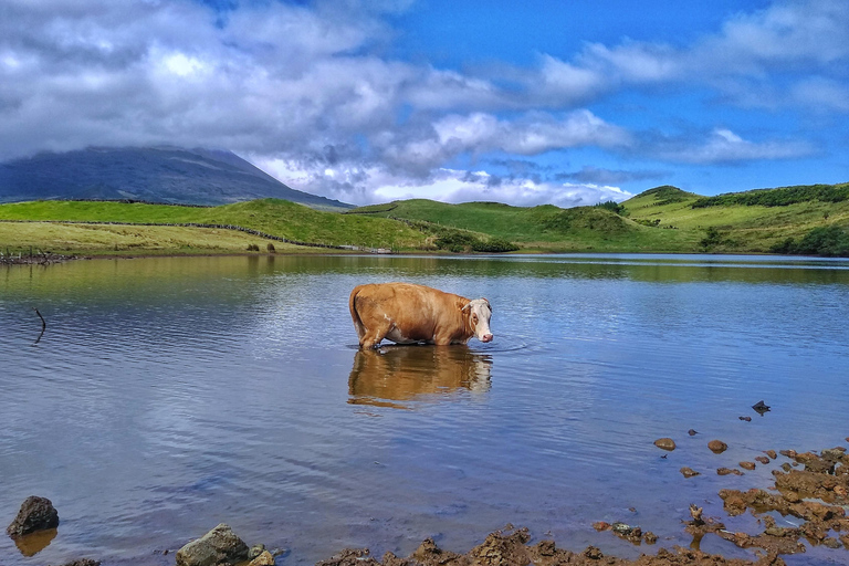Excursión en jeep de 1 día por la isla de Pico - Azores.Excursión de 1 día en jeep por la isla de Pico - Azores