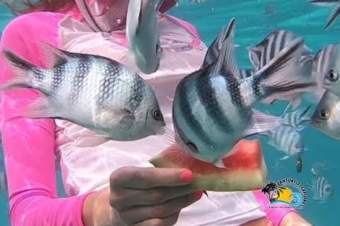 Zanzibar: prywatne nurkowanie w Błękitnej Lagunie i pływanie z rozgwiazdamiTransport do hotelu w dowolnym miejscu na Zanzibarze