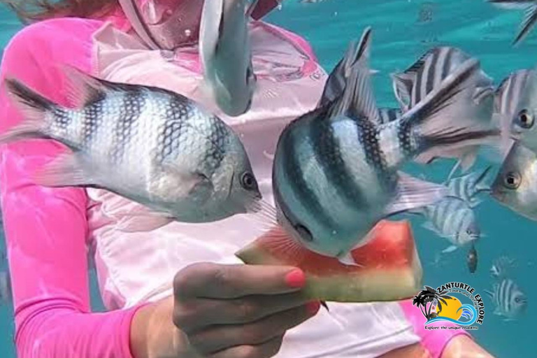 Zanzibar: prywatne nurkowanie w Błękitnej Lagunie i pływanie z rozgwiazdamiTransport do hotelu w dowolnym miejscu na Zanzibarze