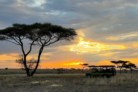 Zanzibar: 2-daagse safari naar het nationale park Tarangire