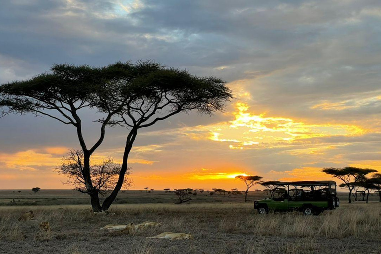 Zanzibar: 2-daagse safari naar het nationale park Tarangire