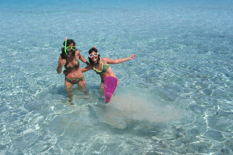 Formentera: Espalmador sightseeing tour, Caves and Hidden Coves with Snorkeling Formentera: Espalmador Tour, Grotte e Cale Nascoste with Snorkeling
