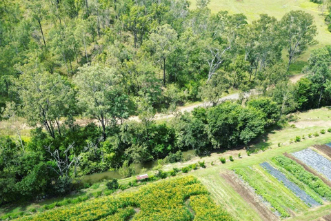 Brisbane Farm Day Trip | Ellia's Garden Scenic Rim