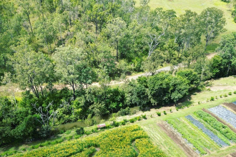 Brisbane Farm Day Trip | Ellia's Garden Scenic Rim