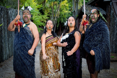 Auckland: Excursión cultural y geotérmica maorí de Rotorua y almuerzo