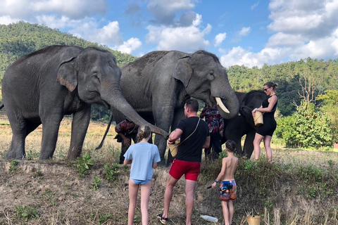 Chiang Mai : Visite de deux jours du sanctuaire du Temple des éléphants