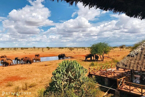 Mombasa: 5-Day Safari- Amboseli, SaltLick, Ziwani & Ngutuni