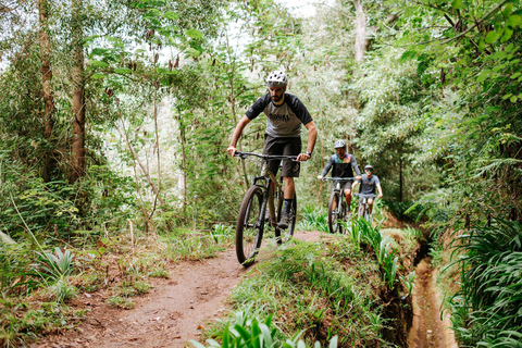 Tour guiado de E-Bike - Experiência de mountain bike