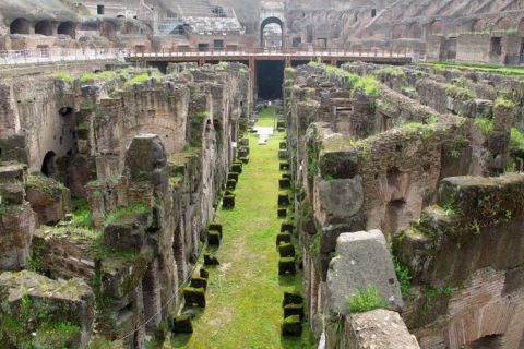 Rome: Colosseum Underground & Roman Forum with Private Guide