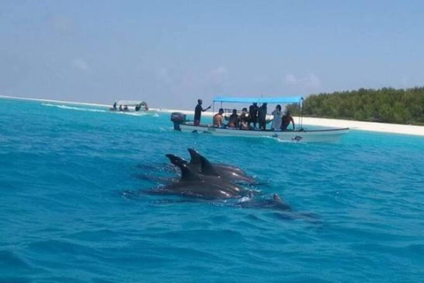 桑给巴尔：姆内姆巴环礁海豚与浮潜之旅私人观光，不含酒店接送服务，不含入场费