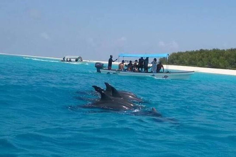 桑给巴尔：姆内姆巴环礁海豚与浮潜之旅私人观光，不含酒店接送服务，不含入场费