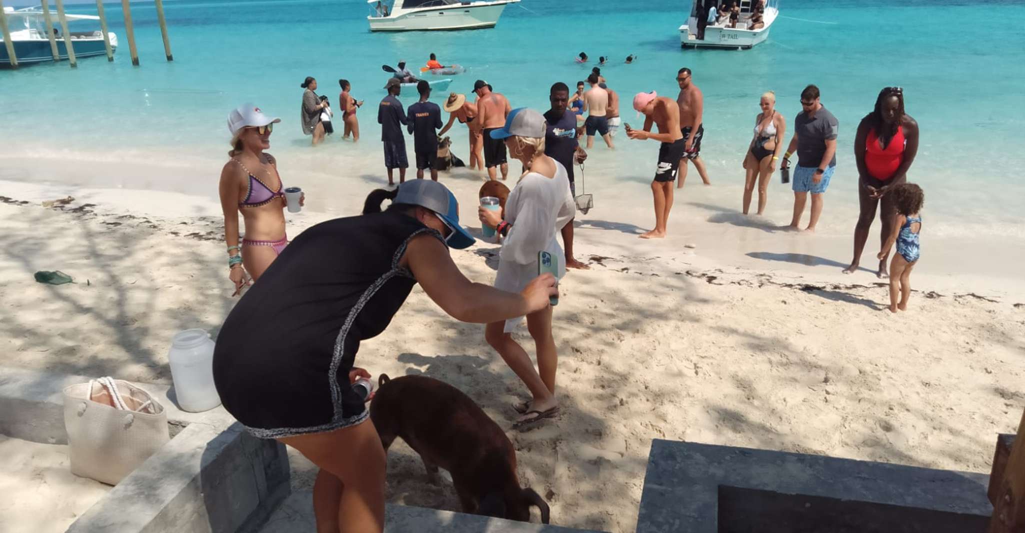 Nassau, Pigs de natation Visite en bateau privé - jusqu'à 7 personnes - Hizvo