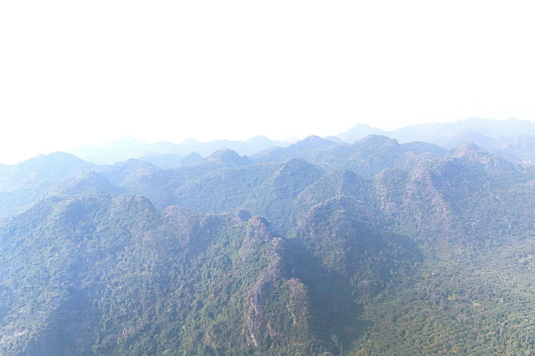 Half Day Hiking to Cat Ba National Park with a Guide