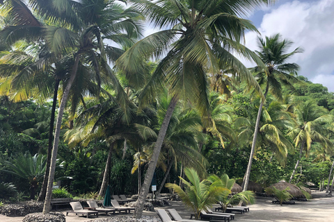 Private: Luxury Saona Island Speedboat Trip with Open Bar