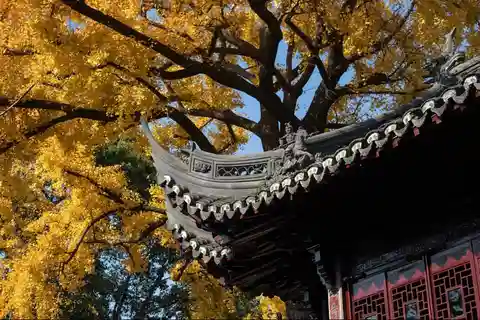 Shanghai: Yu Garden Tour guiado gratuito (Basado en propinas)