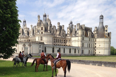 Tour della Valle della Loira: una galoppata reale attraverso il tempoTour di un giorno in sella a cavallo alla scoperta dei castelli della Valle della Loira