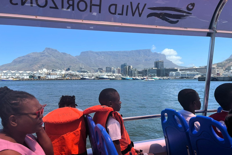 Cape Town: Harbor Cruise V&A Waterfront Harbour Cruise