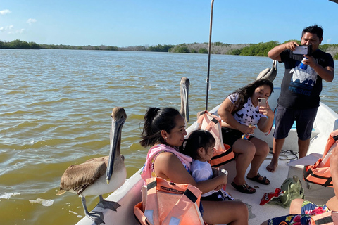 Rio Lagartos et Las Coloradas : EcoSafari Flamingo DeluxRio Lagartos et Las Coloradas : EcoSafari Flamingo Deluxe
