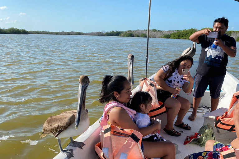 Rio Lagartos et Las Coloradas : EcoSafari Flamingo DeluxRio Lagartos et Las Coloradas : EcoSafari Flamingo Deluxe