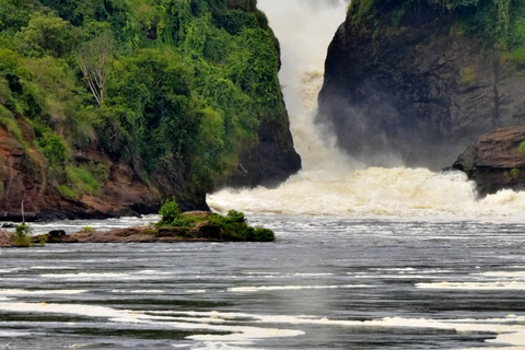 Uganda: Experiência de 3 dias com gorilas saindo de Entebbe