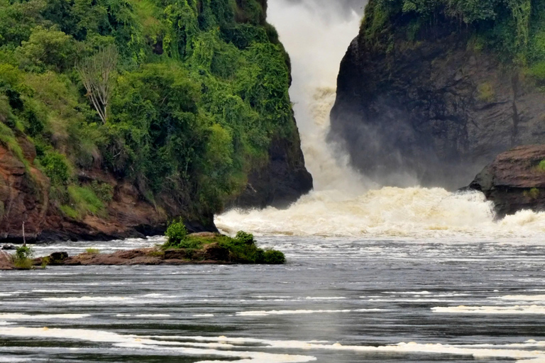 Ouganda : 3 jours d&#039;expérience avec les gorilles au départ d&#039;Entebbe