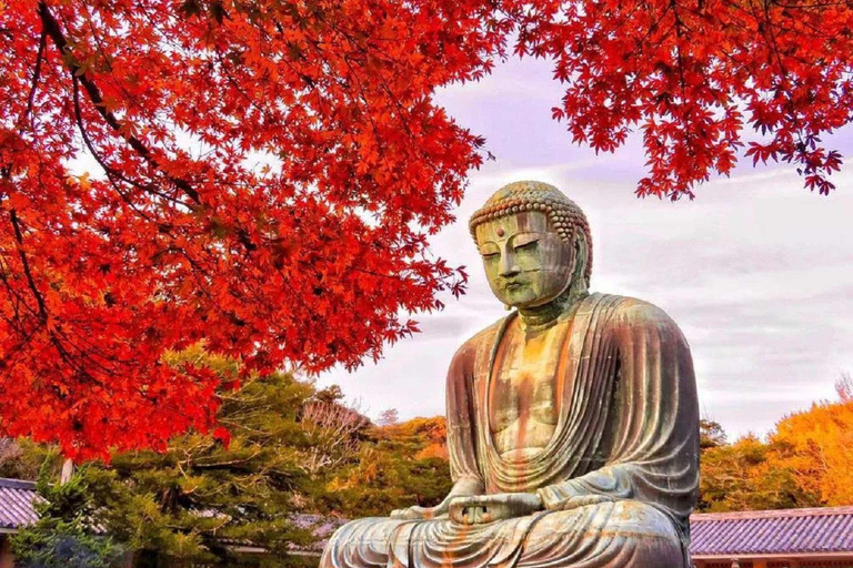 Tokyo: Kamakura, Yokohama Private Car Tour By English Guide