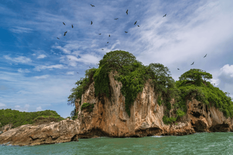 Punta Cana: Utflykt till Los Haitises och Caño Hondos naturliga pooler