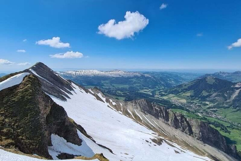 Zurich: Bernese Alps Tour with Lake Cruise & Steam Train Special Offer