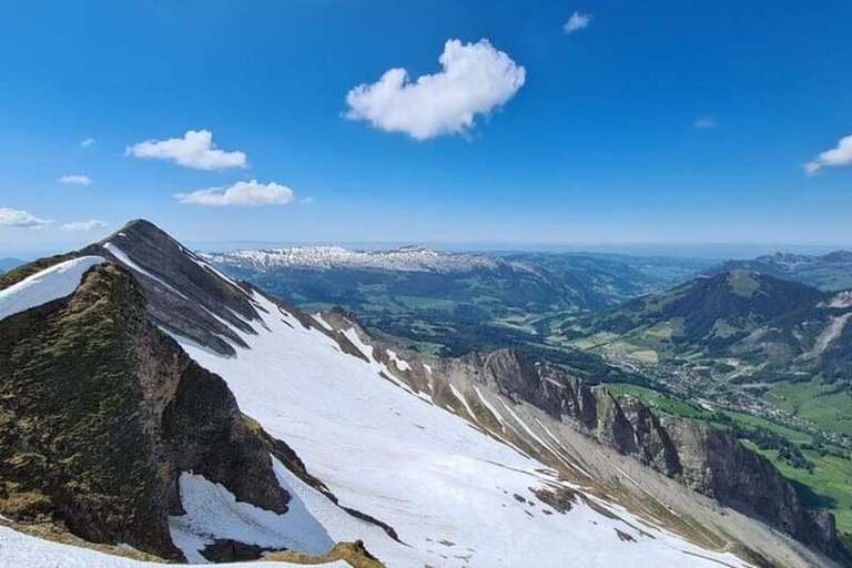 Zurich: Bernese Alps Tour with Lake Cruise & Steam Train Special Offer